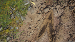 FINAL FANTASY VII REBIRTH_20240229210603